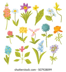 vector cute colorful cartoon isolated forest wild flowers illustrations collection