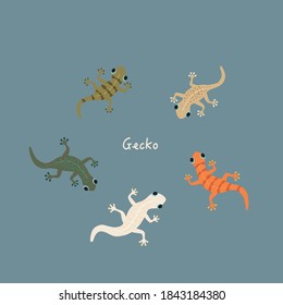 Conjunto de ilustraciones de gecko de color lindo vector