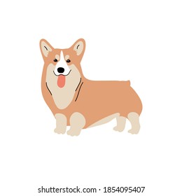 Vector cute corgi. Dog breeds. Doodle illustration isolated on white background