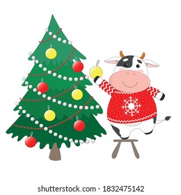 Vector cute cow or bull. Symbol of year 2021. Calf in sweater, decorating Christmas tree. Character for children's book or postcard. Isolated on white background