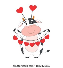 Vector cute cow or bull. Symbol of year 2021. Calf, holding hearts, Valintine's day concept. Character for children's book or postcard. Isolated on white background