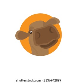 Vector cute cow head isolated on white background.