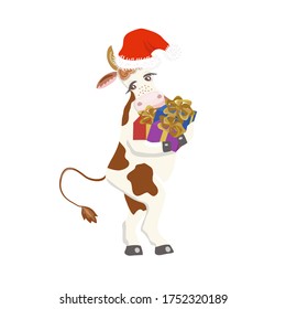Vector of cute cow in Santa Claus hat with gift boxes.Isolated element for New Year 2021 festive design.