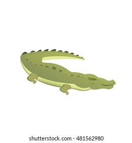 Vector cute crocodile isolated. cartoon green crocodile