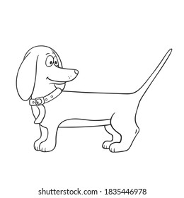 Vector cute dachshund dog illustration on a white background