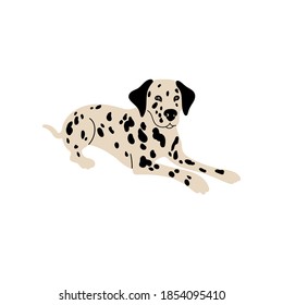 Vector cute Dalmatian. Dog breeds. Doodle illustration isolated on white background