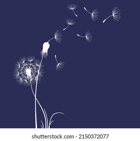 Vector Cute Dandelion Blowing Silhouette. Flying Blow Dandelion Buds  On Blue Background.
