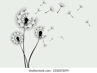 Vector Cute Dandelion blowing silhouette. Flying blow dandelion buds  on white background.
