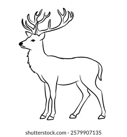 Vector of a cute deer isolated on white background. Icon illustration. Line art.