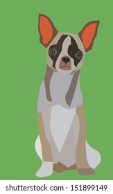 Vector of cute dog chihuahua