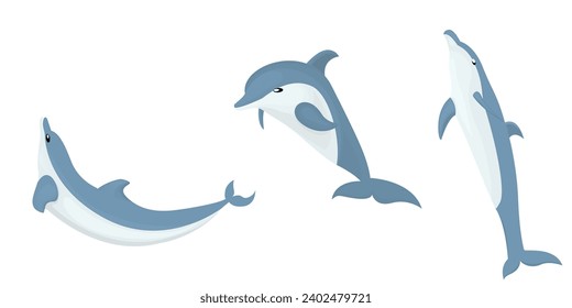 vector cute dolphins in various poses cartoon illustration