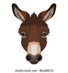 Vector cute donkey face animal portrait, head, sad, domestic, farm