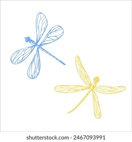 Vector lindas libélulas. Insectos lineales pintados a mano. Clipart gráfico aislado en el fondo. Ilustración botánica y de boda. Para diseñadores, invitaciones, decoración, postales, papel de embalaje, scr