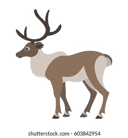 Vector cute elegant horned reindeer isolated on white background polar animal zoo illustration