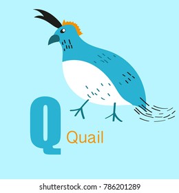 Vector of Cute english alphabet:Q with cute cartoon animals isolated. Vector illustration for kids education, foreign language study.