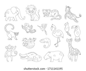Vector cute exotic animals and birds outlines. Funny tropical black and white illustration. Jungle summer sketch