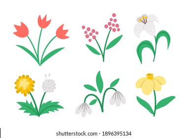 Los iconos de las flores planas del vector adorables. Primera ilustración de plantas en floración. Colección de dibujos animados florales. Tulipanes, león, nevada, narciso, lirio aislado en fondo blanco.
