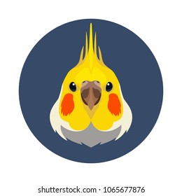 Vector cute flat style corella parrot head bird icon 