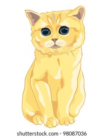 vector cute fluffy British kitten lovely redhead with huge enormous eyes sitting