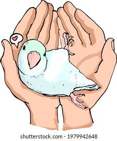 Vector of cute forpus bird in hand with love