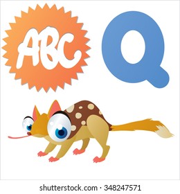 Vector cute funny colorful alphabet animals: Q is for Quoll