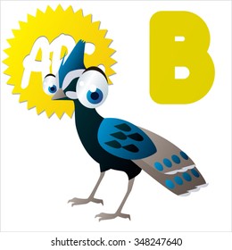 Vector cute funny colorful alphabet animals: B is for Bird