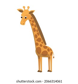 Vector cute giraffe animal for kids design. Happy long neck african safari animal baby with big eyes. Flat mascow giraffe with spots.