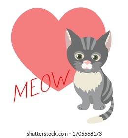 Vector of cute gray kitten on hearts background and inscription meow
