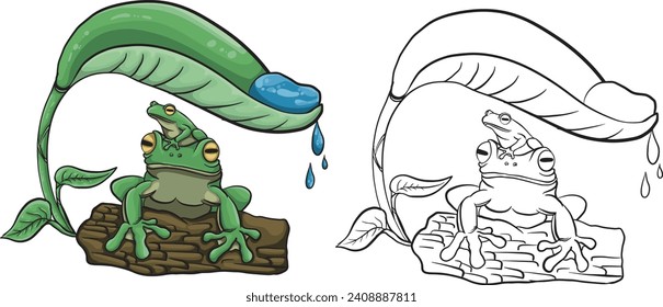 vector cute green frog and black and white frog sketch, usually used for decoration, element, icon