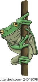 vector cute green frog climbing tree branch, usually used for decoration, element, mascot
