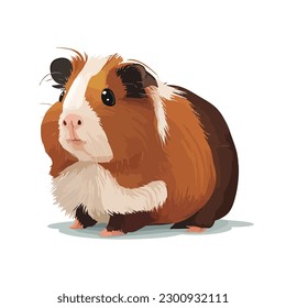 vector cute guinea pig cartoon style