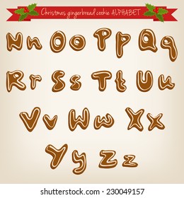 Vector cute hand drawn Christmas gingerbread cookie alphabet
