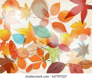 Vector cute hand drawn style illustration of autumn leaves