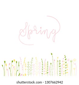 Vector cute herbs and flowers. Illustration in hand-drawn style. Lettering - spring.