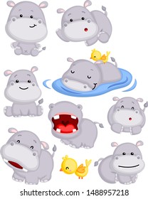 a vector of a cute hippo in many poses