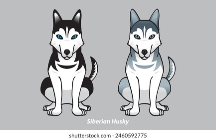 Vector of a cute Husky. With 2 color options. Vector.