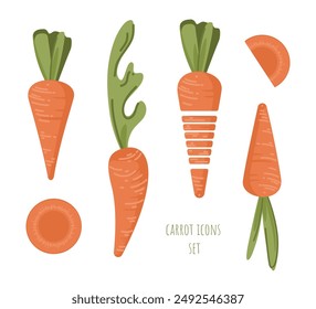 Vector cute сarrots icons set. Funny orange vegetables, big dense tops. Whole root crop, fresh green foliage, small cut pieces, many slices. Flat food elements for spice, juice, snack packaging design