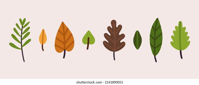 Vektorsüße Illustration mit unterschiedlichen Farbblättern