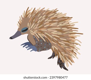 Vector cute illustration of echidna isolated on light background.