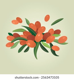 Vector cute illustration with group of sea ​​buckthorn berries and leaves
