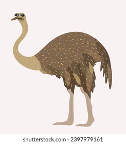 Vector cute illustration of ostrich isolated on light background.