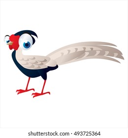 vector cute isolated animal character illustration. Bird. Funny Pheasant
