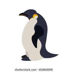 Vector cute king penguin simple flat stule polar wild bird zoo icon