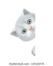 Vector of cute kitten hiding by blank.