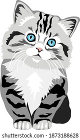 Vector of a cute kitten on white background