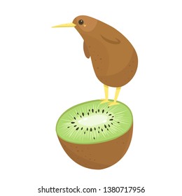 Vector cute kiwi bird isolated on white background. 