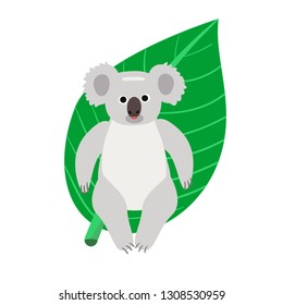 Vector cute koala on a background of green leaves in cartoon style.