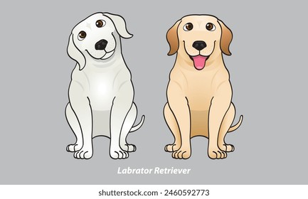 Vector of a cute Labrador. With 2 color options. Vector.