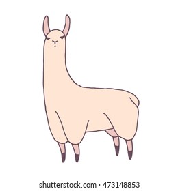 Vector cute lama illustration. Llama or alpaca hand drawn ink sketch. Cute mammal animal drawing