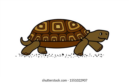 vector cute land tortoise with patterned shell, side view; isolated on a white background; symbol of slowness; walking turtle